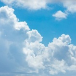 『元気だからと思いたい?』の画像