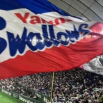 全国ツバメ軍団日誌！