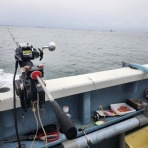 釣海38～関東近辺の釣れてる魚と料理&オススメアイテム～❗釣りは人を幸せにしますね✨釣りって言葉を人生に✨✨