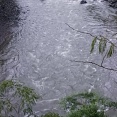 ダメだこりやスコール⚡⛈️
