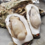 『～かき小屋　今週の営業について～』の画像