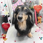 神奈川県 ワンラブ アウトレット平塚店のスタッフブログ