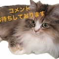 初めてのカナブン