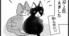 ゆずぽんさんちは６人家族「猫がふえた」