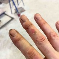立秋