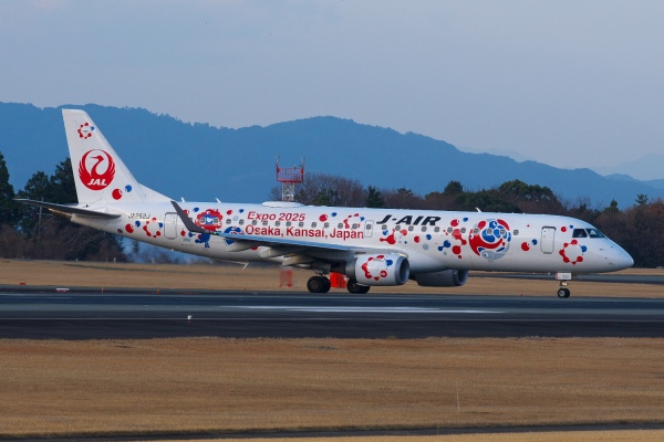 J-Air ERJ-100STD JA252J 特別塗装 J-Air ERJ-100STD JA252J 特別塗装