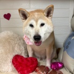 tamariのたまりば