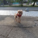 この状況をどう判断する？