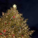 真鍋ゼミ16期　12/12