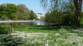 「誰にも邪魔されず宮殿の絶景がのぞめる場所」でひっそりと　バッキンガム宮殿前に白骨死体　王室マニアの米人男性か