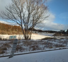 栃木拠点・1月10日