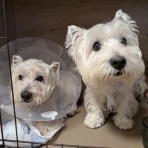 ばりゃの穴★2011年復活！！