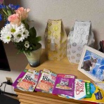 めざましニャンズ