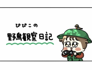 ぴぴこの野鳥観察日記 vol.2
