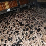 好きなニュースまとめ