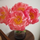 花に興味のないとーさんも、「綺麗やなぁ！」と思わず言った、大輪の花を咲かせるあのお花を飾ってみた！ビフォアフあり！