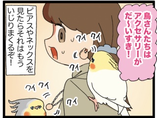 ニンゲンの体についてる鳥のおもちゃ(違う)