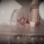 一回は一回です。。｜ 2ch修羅場・復讐まとめ