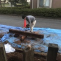 M'S��Re��Garden����