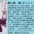 櫻公路一顱(さくらこうじかずたか)先生
