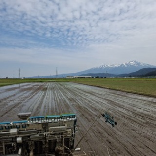鳥海の麓 「北村くらた農園」より愛を米て。　