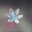 たのしいつまみ細工　72号　タマスダレ①