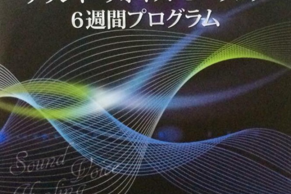 向井ゆきDVD 〜メンタープログラム オンラインスクール〜