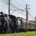 秩父鉄道　SL熊谷うちわ祭号　2025/07/21