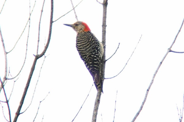 Walker Akiのblog 05年08月