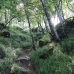バテバテ山日記