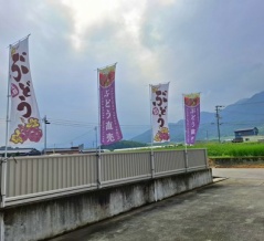 ごうだ農園　香川県観音寺市