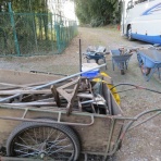 渋谷教育学園幕張高校野球部公式ブログ