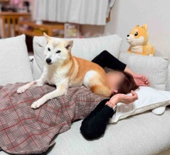 フル稼働の11月、ただ今ひと休み中