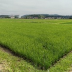 市原市に憲法と地方自治を活かす会