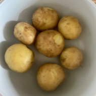 とろ〜りチーズがたまらない！ホタルイカのクロケッテ