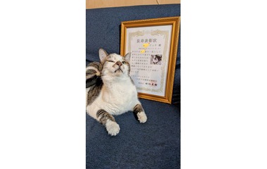 ��18�Фˤʤ�ޤ����٤β���