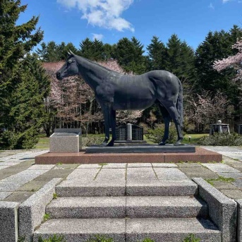 (北海道) 馬と桜、のどかな景色