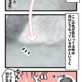 すずちゃんの秘密