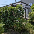 フェンス防草シート化粧砂利施工　桑名市N様邸