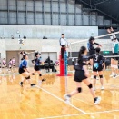 ダイヤモンドカップ