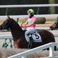 テイエムマジック（26/01/24・4R・小倉競馬場）