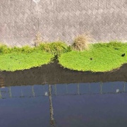 �뤴�ӡ��ե����˥��ǡ��Τ�����