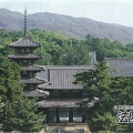 墓参りを兼ねた１泊旅行に行ってきました。