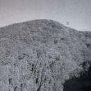 高縄山(986m)