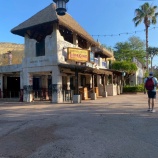 『【WDW】５DAYS④　アニマルキングダム、ライオンキング　家族5人旅行【ディズニー】』の画像