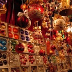 四つ葉のくまさんの癒しのお花、時々お料理日記