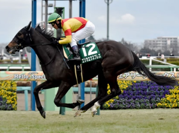 【競馬予想】[4]第50回エリザベス女王杯(GⅠ)/2025