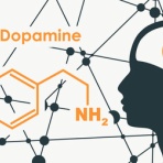 幻覚・妄想とたたかう統合失調症闘病記