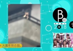 【乃木坂46】何言ってるんだコイツ→想像以上にガン見、この流れ最高すぎワロタｗｗｗ※画像あり