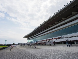 某競馬記者「JRA賞〝該当馬なし〟は失礼だし意味不明、理由を公開してほしい」